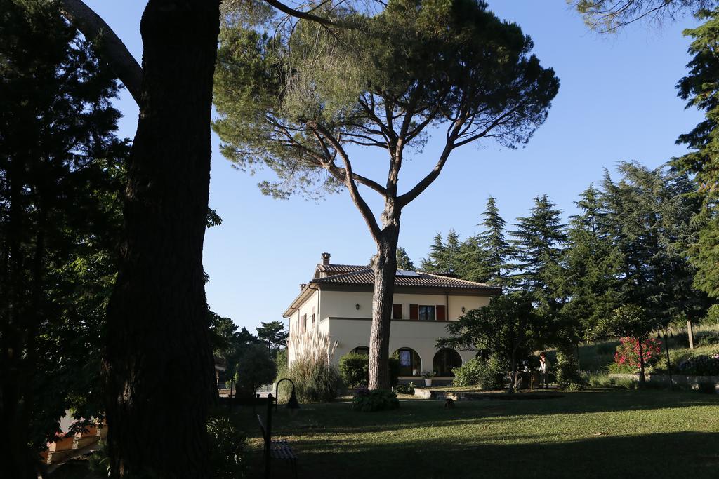 Villa Degli Ulivi Viterbo Bagian luar foto