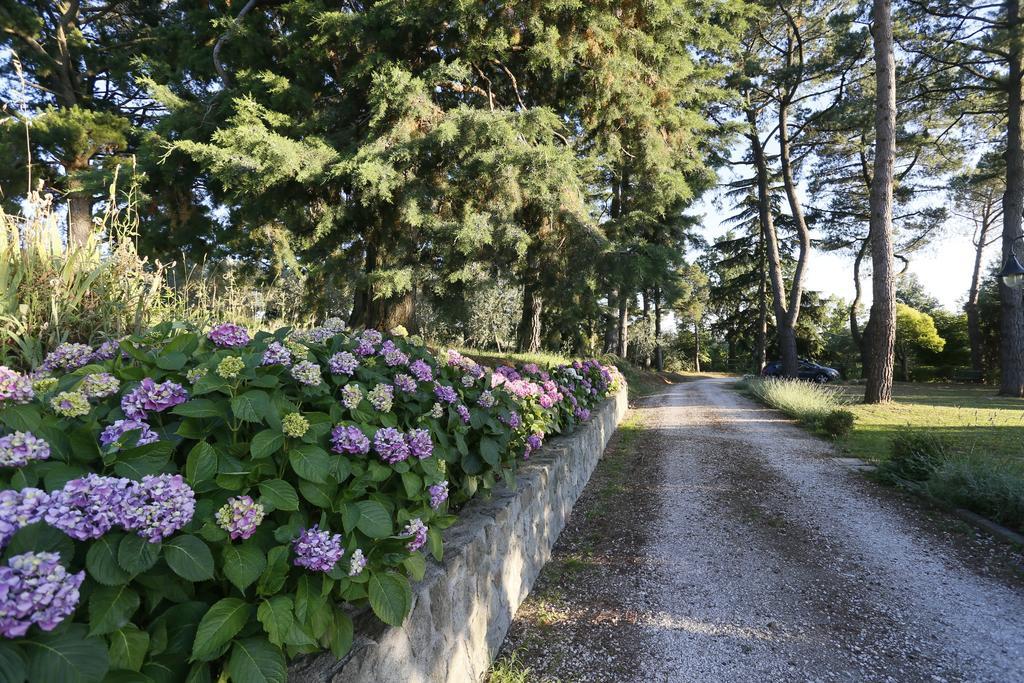 Villa Degli Ulivi Viterbo Bagian luar foto