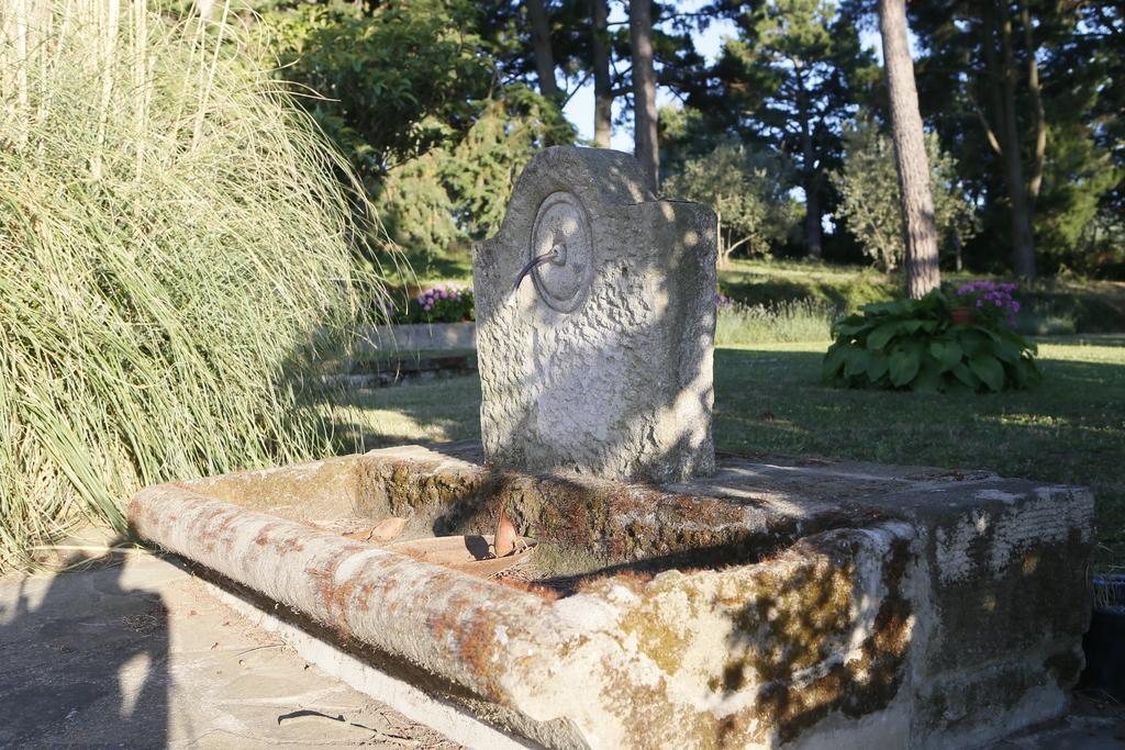 Villa Degli Ulivi Viterbo Bagian luar foto